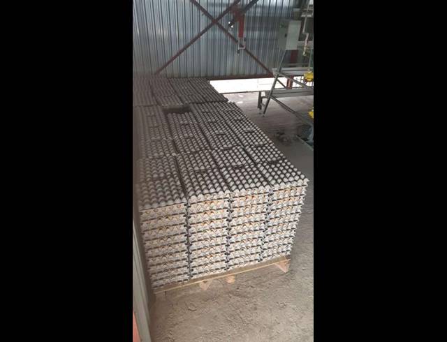 FARM FOR SALE IN WONDERBOOM